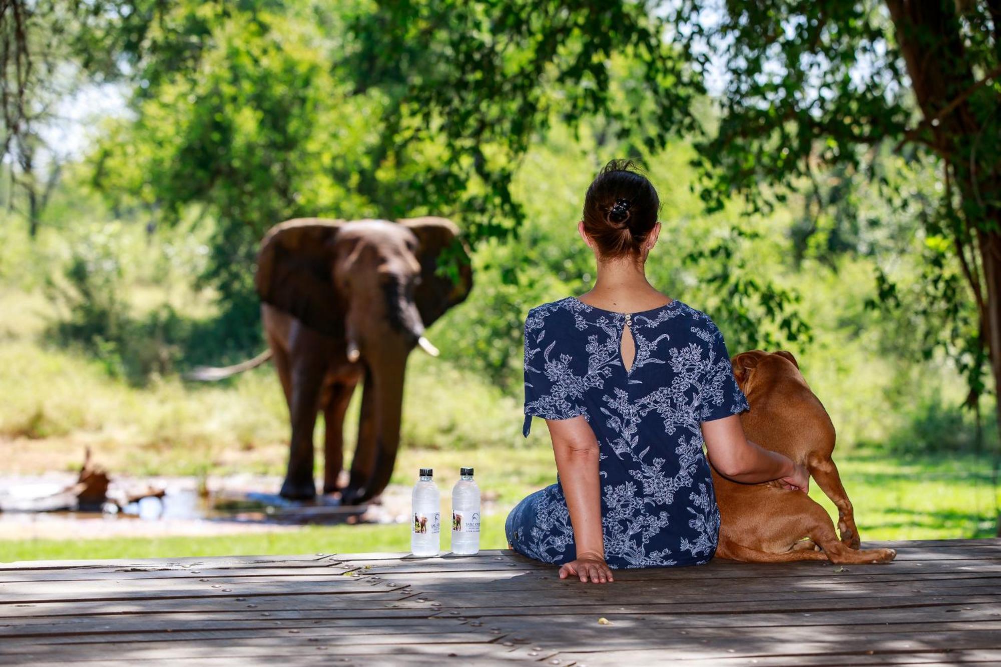 Sable Creek Safari Lodge ツァニーン エクステリア 写真